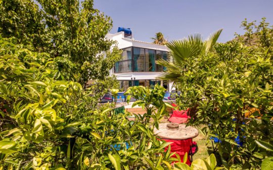 Villa Patara Botanik