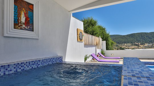 Villa Alem