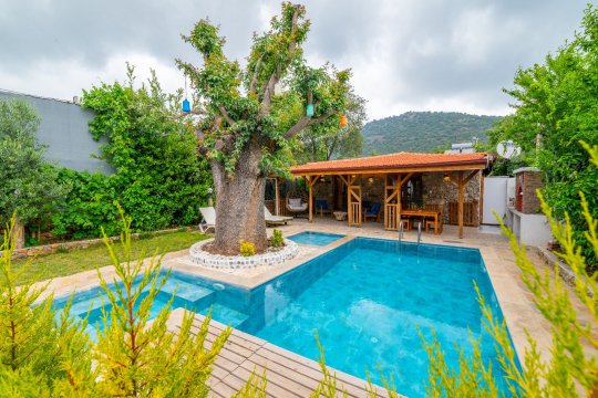 Villa Jolley