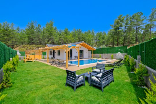 Villa Pineapple