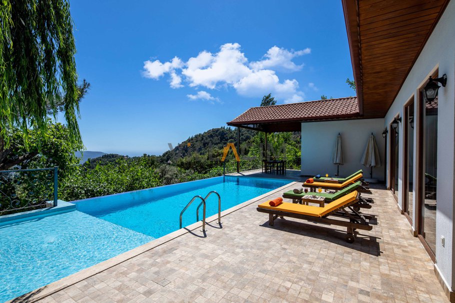 villa-buyuk-asma-20_214.jpg